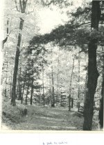 A path by the cabins at Keego Lodge