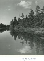Rice Creek between Big and Island Lakes