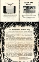 Narrative with advertisements