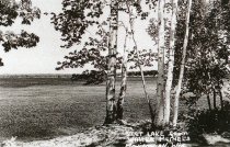 Looking N NE across Rest Lake from Walter Meinel's
