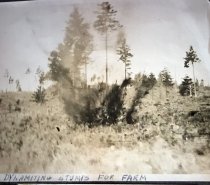 Dynamiting stumps at Keith's farm Big Lake