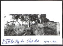 52 lb musky caught off point at Fox Island