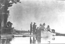 ca early 1900s as cut-over still seen