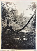 Turtle River- from S Turtle Lake to Cedar Lake