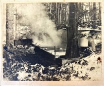 Boiling sap down to make maple syrup