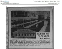 1933 Fish Hatchery article