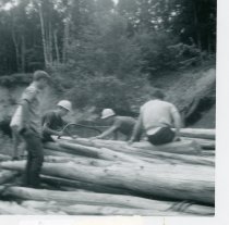 1968 Cutting cedar logs at Deer Skin River