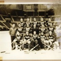 ATHLETICS / ICE HOCKEY TEAMS