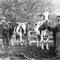 Pl-0042-a2007.138-b01