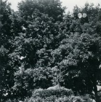 P-78-26 A2007.107 Park Monuments