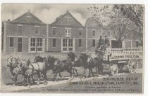 Six-Horse Team, Lafayette Stock Farm