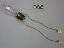 Bulb, Light