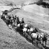 WC People, Cameron, Sueyers, Santos, WC Organizations, Transportation