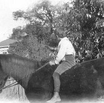 WC People, Walker, Marion Carroll, Transportation