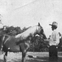 WC People, Walker, Transportation