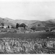 WC People, Walker, WC Homes, WC Landscapes