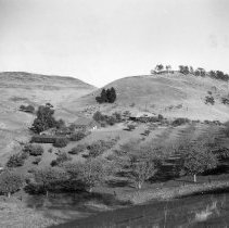 WC Homes, Thain, WC Landscapes, Street views, Springbrook Rd.