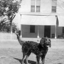 WC Buildings, Businesses, Rogers Hotel