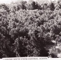 WC Schools, Walnut Creek Grammar School, Central School, WC Landscapes