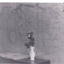 Shadelands Interiors