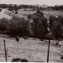 WC Homes, Hale, WC Landscapes