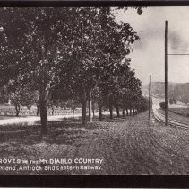 WC Landscapes, Transportation