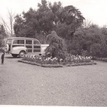 WC Homes, Counter, WC Buildings, Art and Garden Center, Transportation