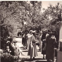 WC Buildings, Art and Garden Center, WC Homes, Counter, Kaiser Hospital