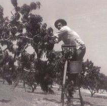 Shadelands Ranch, Farming, Unknown People