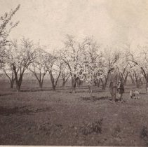 Shadelands Ranch, Farming