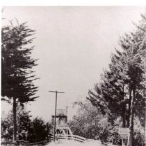 Bridges, The Walnut Creek