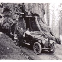 California, WC People, Johnson, Penniman, Transportation