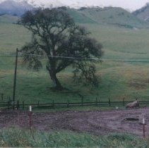 WC Buildings, Slaughterhouse, John Muir Hospital, WC Landscapes