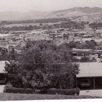 Transportation, Street Views, WC Buildings, Businesses, Trinity Ave., Main St., Ygnacio Valley Rd., Gemco, Sizzler, Fidelity Savings, BART