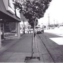 Street Views, WC Businesses, Buildings, Transportation, Locust St., Mt. Diablo Blvd., Olympic Blvd., Simon