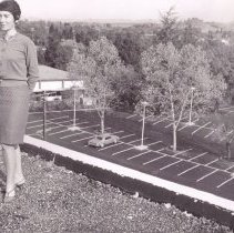 WC Buildings, Street Views, Transportation, Broadway, Lincoln Ave., Library