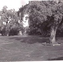 WC Homes, Street Views, Live Oak Way, Lincoln Ave., French