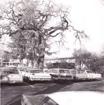 WC Buildings, Street Views, Transportation, Library, Broadway