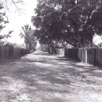 WC People, Cereghino, Street Views, Oak Grove Rd. Landscapes