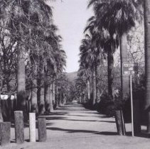 WC People, Cereghino, Street Views, Oak Grove Rd. Landscapes