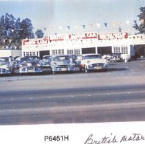 WC Businesses, Street Views, Transportation, Walnut Creek British Motors, Mt. Diablo Blvd.