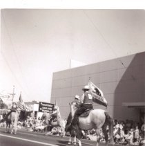 Walnut Festival, Street Views, WC Businesses