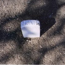 WC People, WC Organizations, Town Nearby, WCHS, Martinez