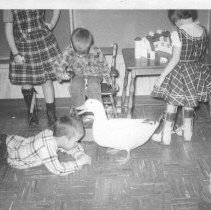 Towns Nearby, Concord, Shadelands School