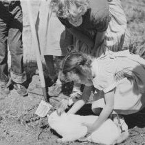 WC People, Schools, Shadelands, Interiors