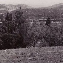 WC Buildings, Businesses, Street Views