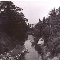 The Walnut Creek, Bridges