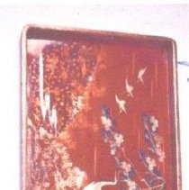 Artifact photography of birds by the pond inlaid design