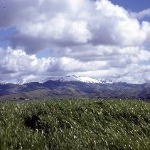 View of Mt. diablo with snow