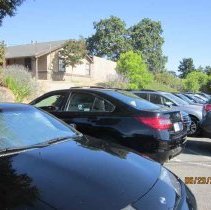 WC Businesses, Amy's Kitchen, WC Homes